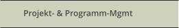 Projekt- & Programm-Mgmt