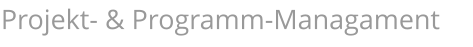 Projekt- & Programm-Managament